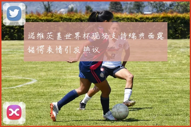 诺维茨基世界杯现场支持瑞典面露错愕表情引发热议