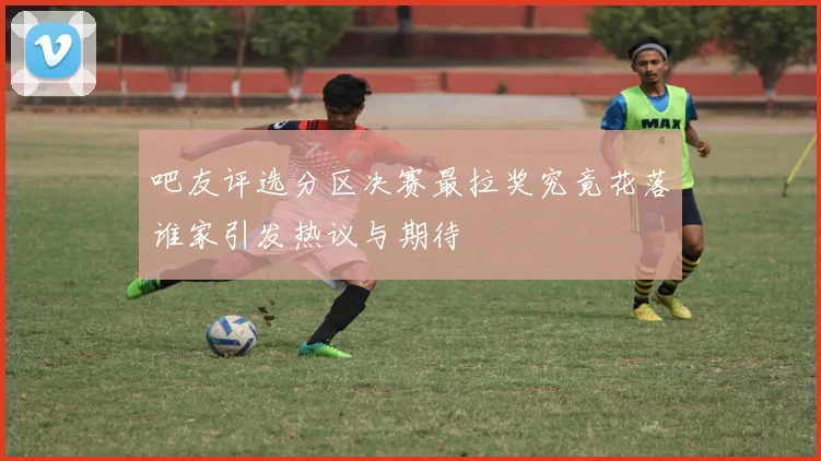 吧友评选分区决赛最拉奖究竟花落谁家引发热议与期待