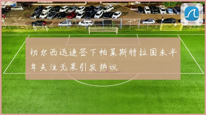 切尔西迅速签下帕莱斯特拉国米半年关注无果引发热议